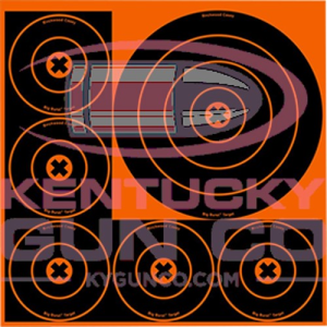 BIRCHWOOD CASEY Big Burst 8" - 3 & 4" - 5 Bull's-eye - 3 sheets