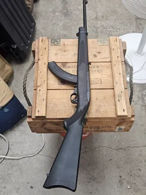 RUGER 10/22 (Used)