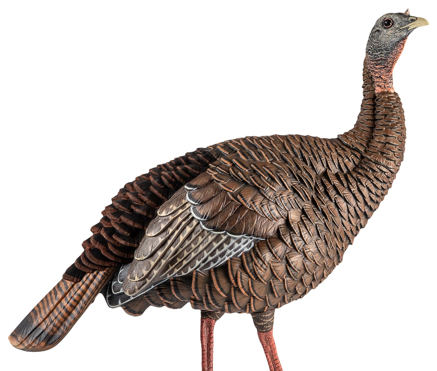 Avian-X HDR Hen - AVX8106