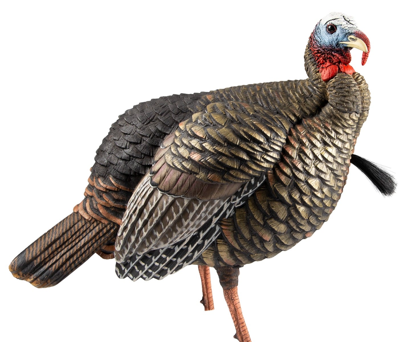 Avian-X HDR Jake Turkey Decoy - AVX8105