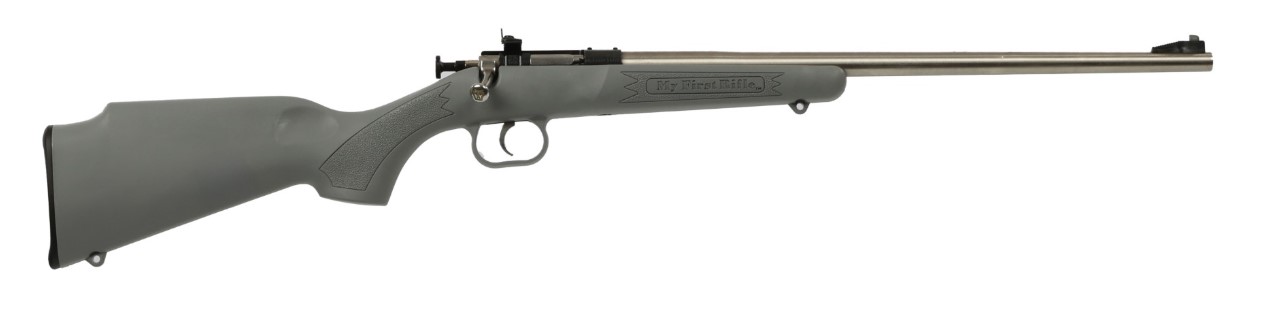 Davey Crickett Keystone Sporting Arms Crickett .22 LR Rifle