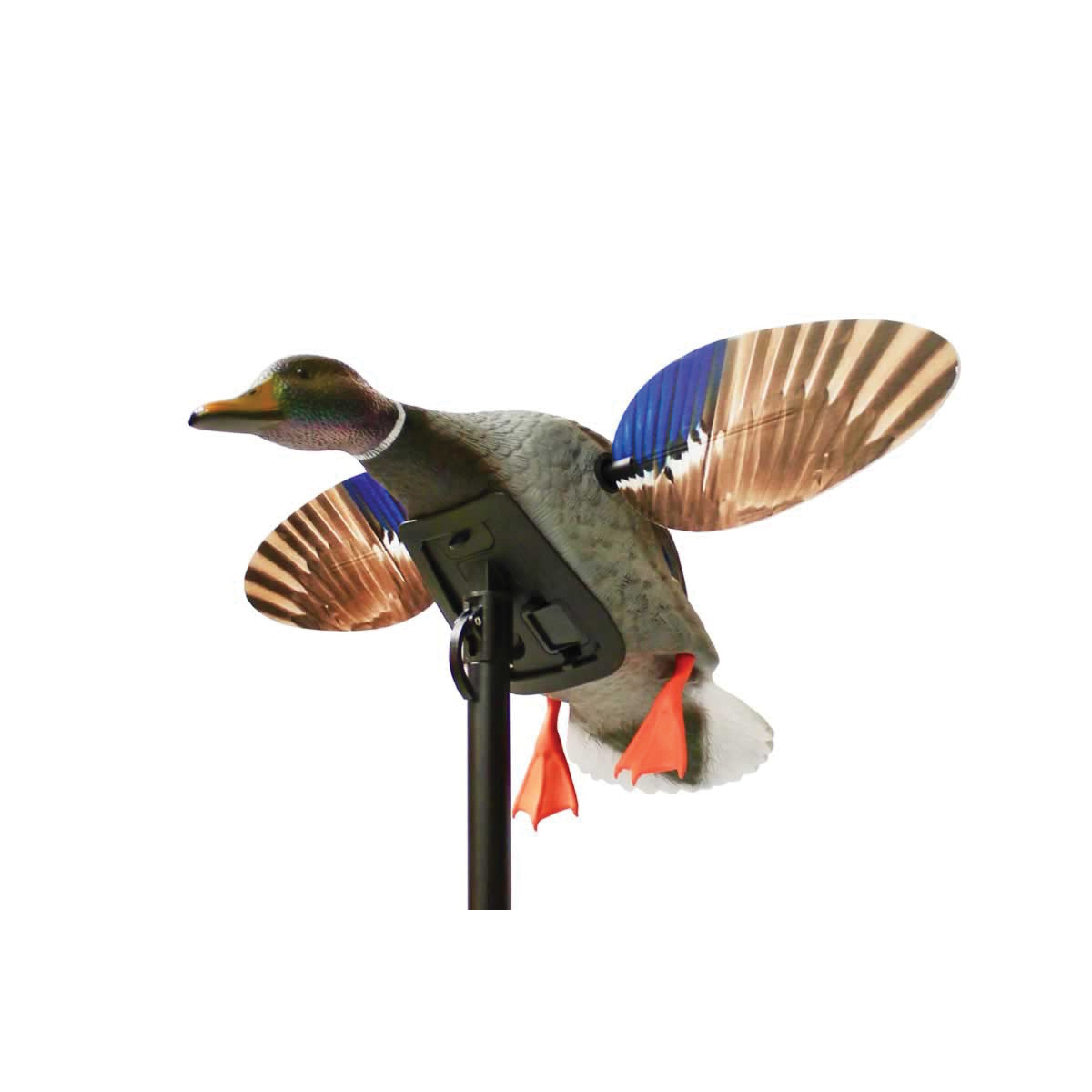 Mojo Outdoors Elite Series Mini Mallard Drake Decoy, Duck - HW2470