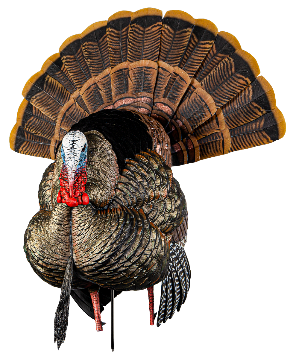 Avian-X HDR Strutter Turkey Decoy