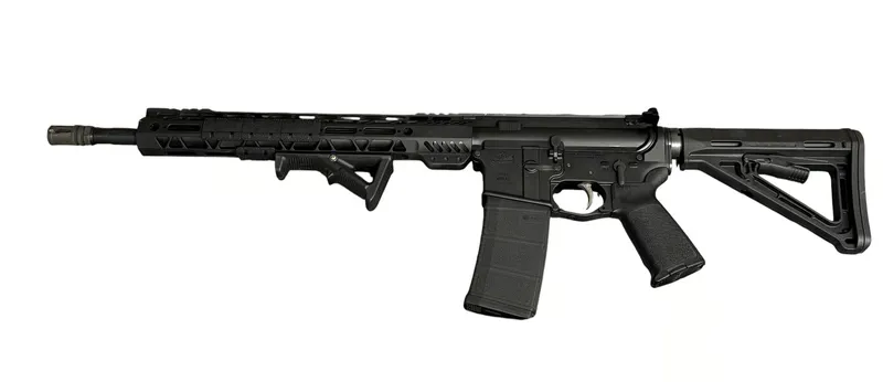 PALMETTO STATE ARMORY PA-15 (Used)