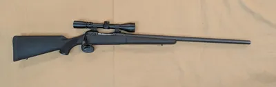 SAVAGE ARMS 12 (Used)