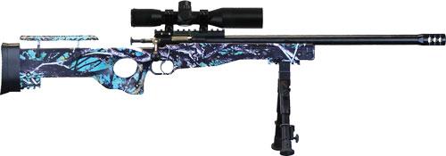 Crickett 22 LR Precision Rifle with Blued Scope