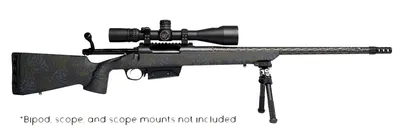 HORIZON FIREARMS VANDAL CARBON II