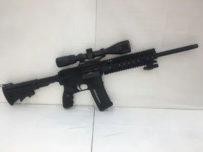 BUSHMASTER XM15-E2S - RIFLE (Used)