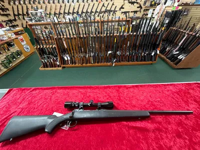 SAVAGE ARMS 10 (Used)