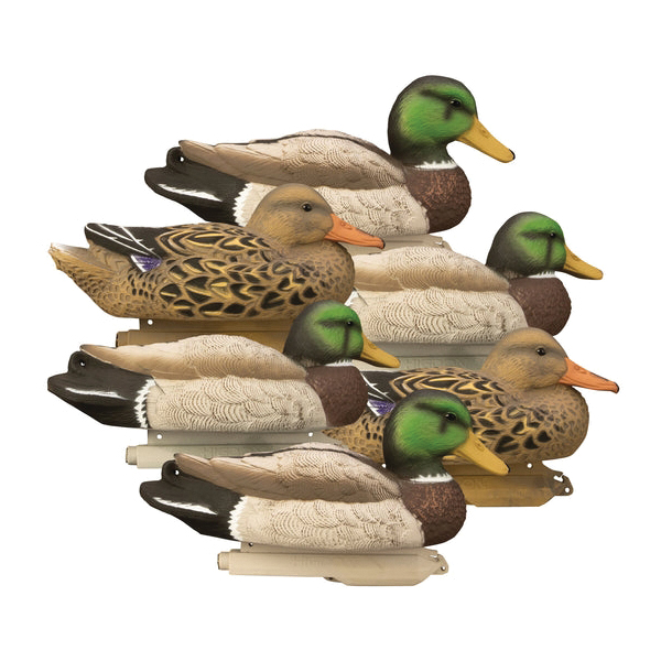 Higdon Outdoors Standard Mallard 6-Pack Duck Decoy
