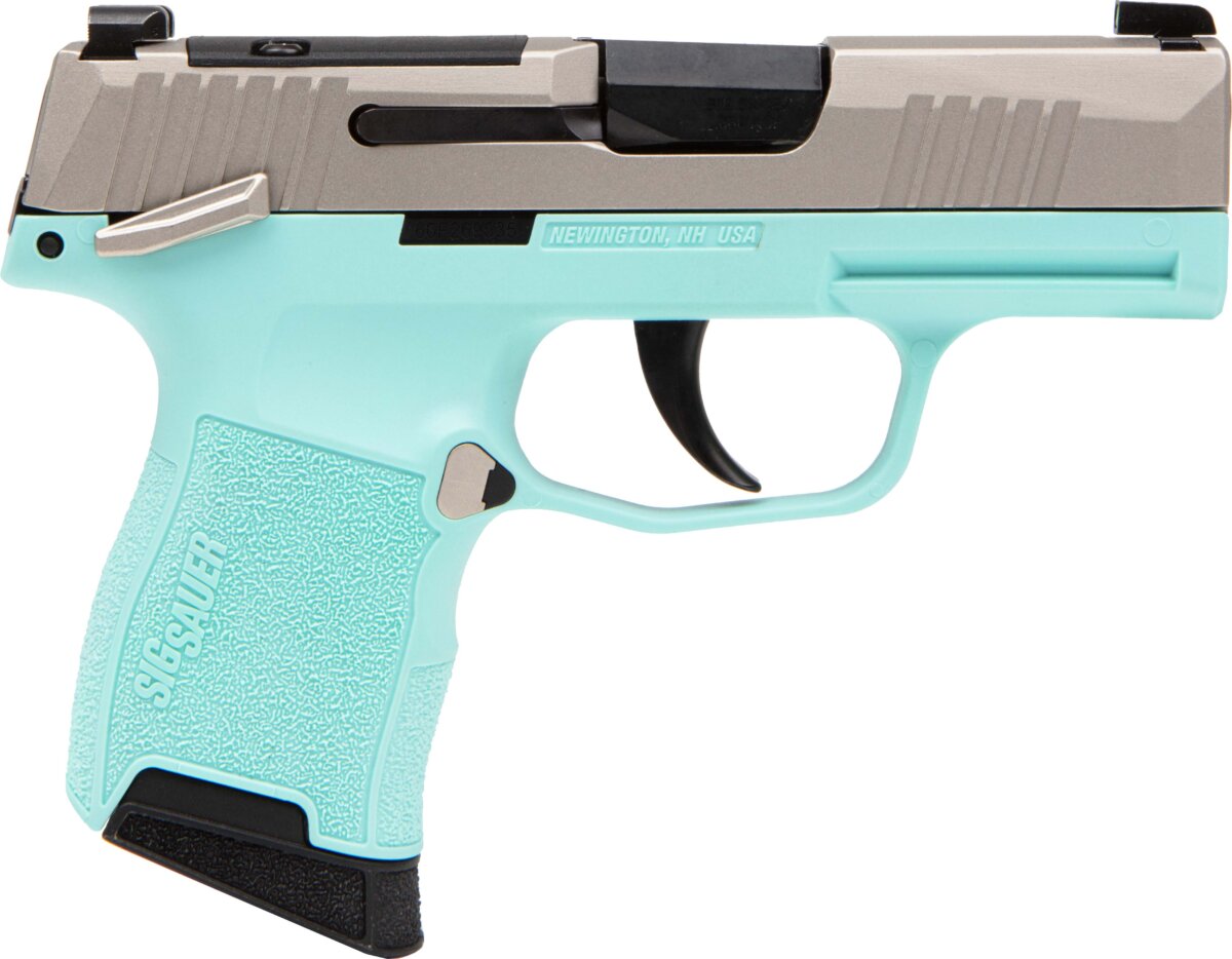 Sig Sauer SIG P365 PST 380 RBEG 10R MS