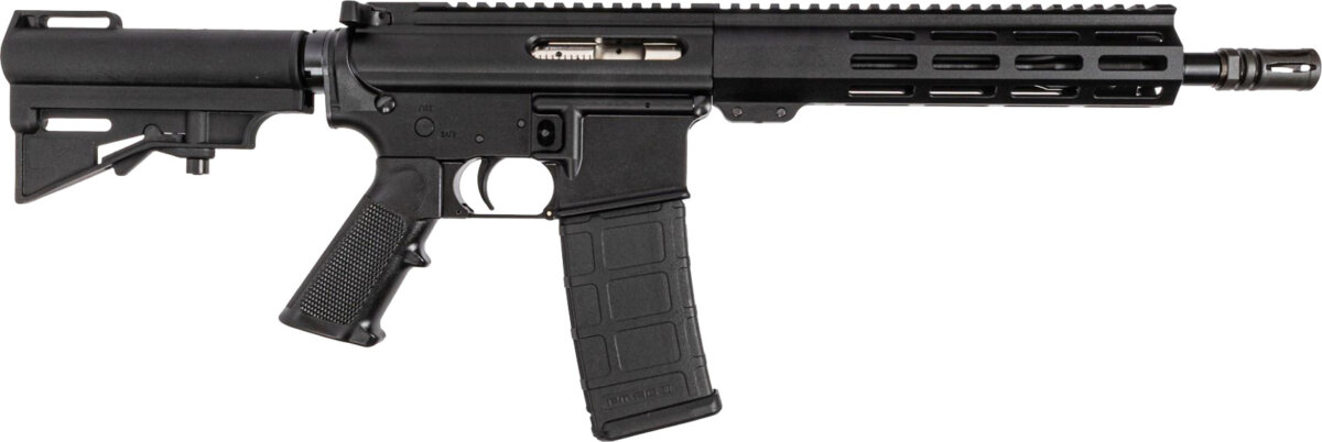 DPMS/Panther Arms DPM SHORTCL KIT 5.56 30RD 10.5
