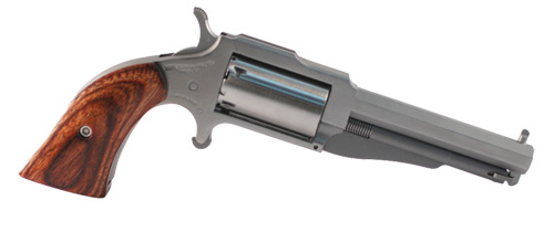 North American Arms THE EARL 22MAG 3" SS 5SH NAA-1860-3
