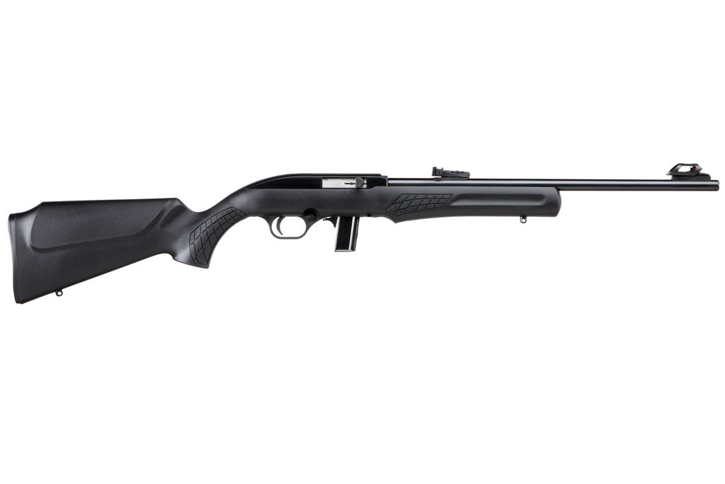 Rossi BRZ ROSSI RS22 22LR RFL 18B 10