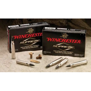Winchester Ammo SBST2506 Ballistic Silvertip  25-06 Rem 115 gr Polymer Tip 20 Bx/ 10 Cs
