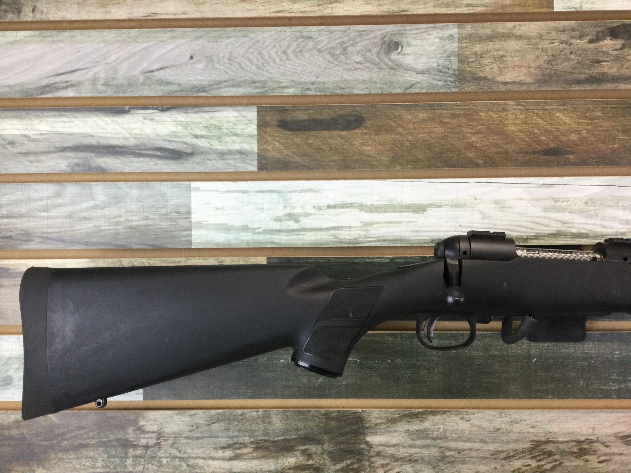 SAVAGE ARMS 11 (Used)
