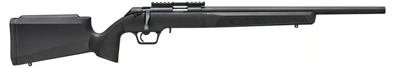 SPRINGFIELD MODEL 2020 RIMFIRE (BLK)