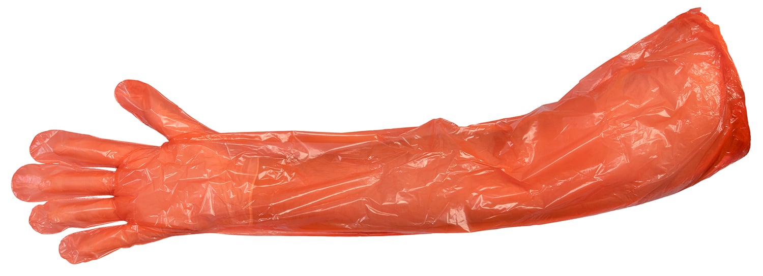 Hunter's Specialties Large Field Dressing Gloves, White & Orange, 2/pack - 01071