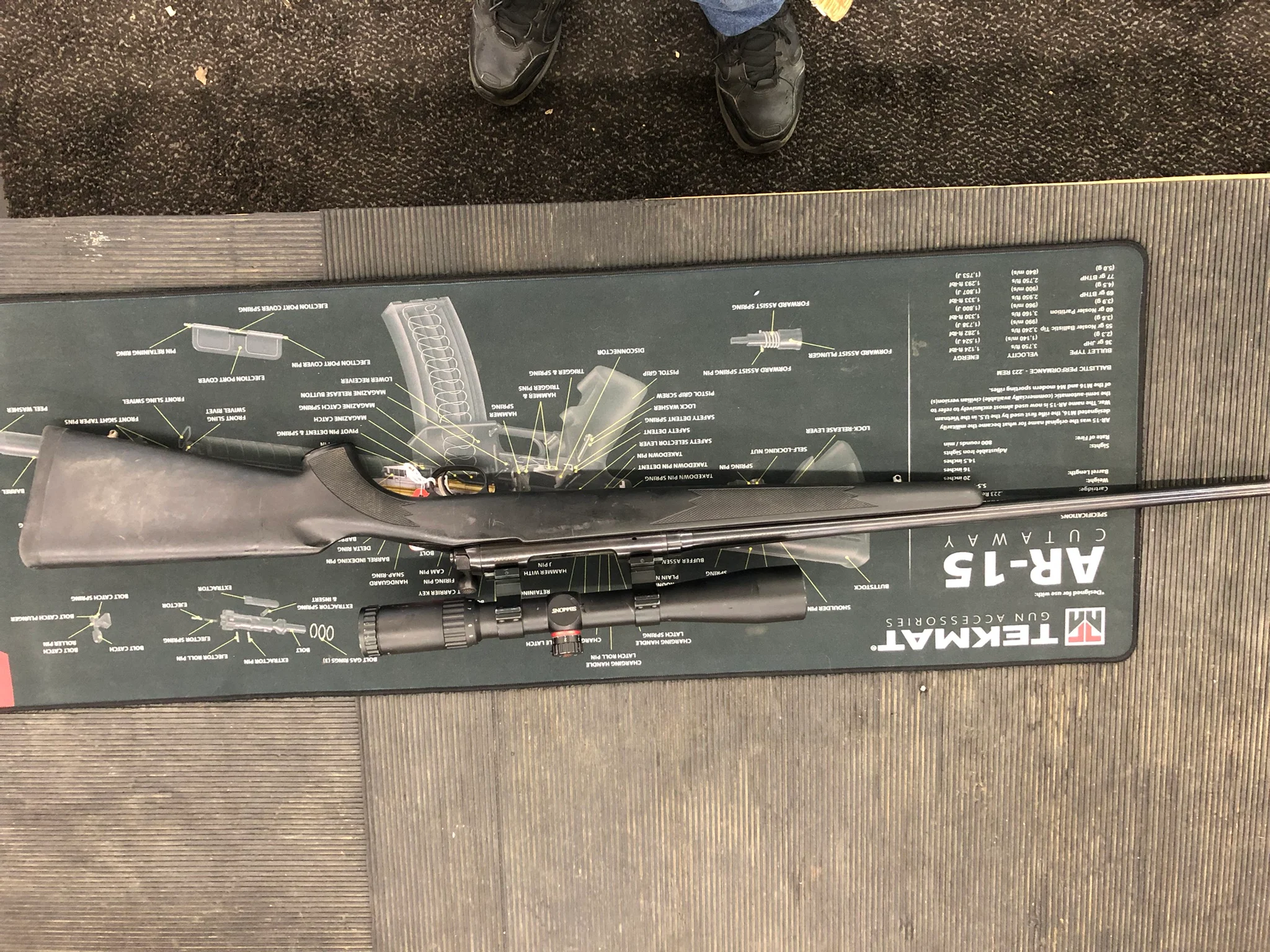 SAVAGE ARMS 10 (Used)