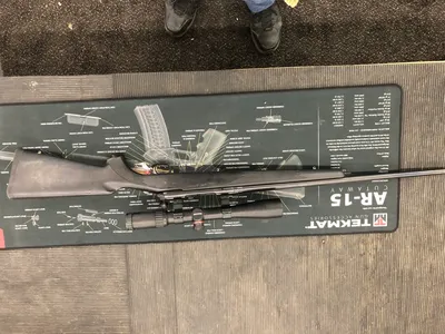 SAVAGE ARMS 10 (Used)