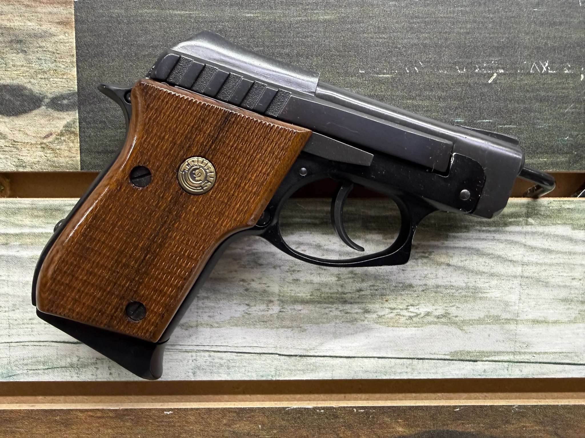 TAURUS PT22 (Used)