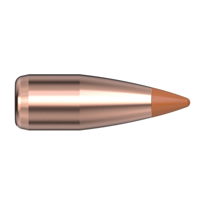 Hornady NTX .20 Cal CJPT Rifle Bullet, 24 gr 0.204" 100rds