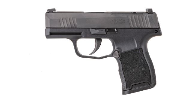 Sig Sauer P365 .380 ACP 10+1 Night Sights Pistol