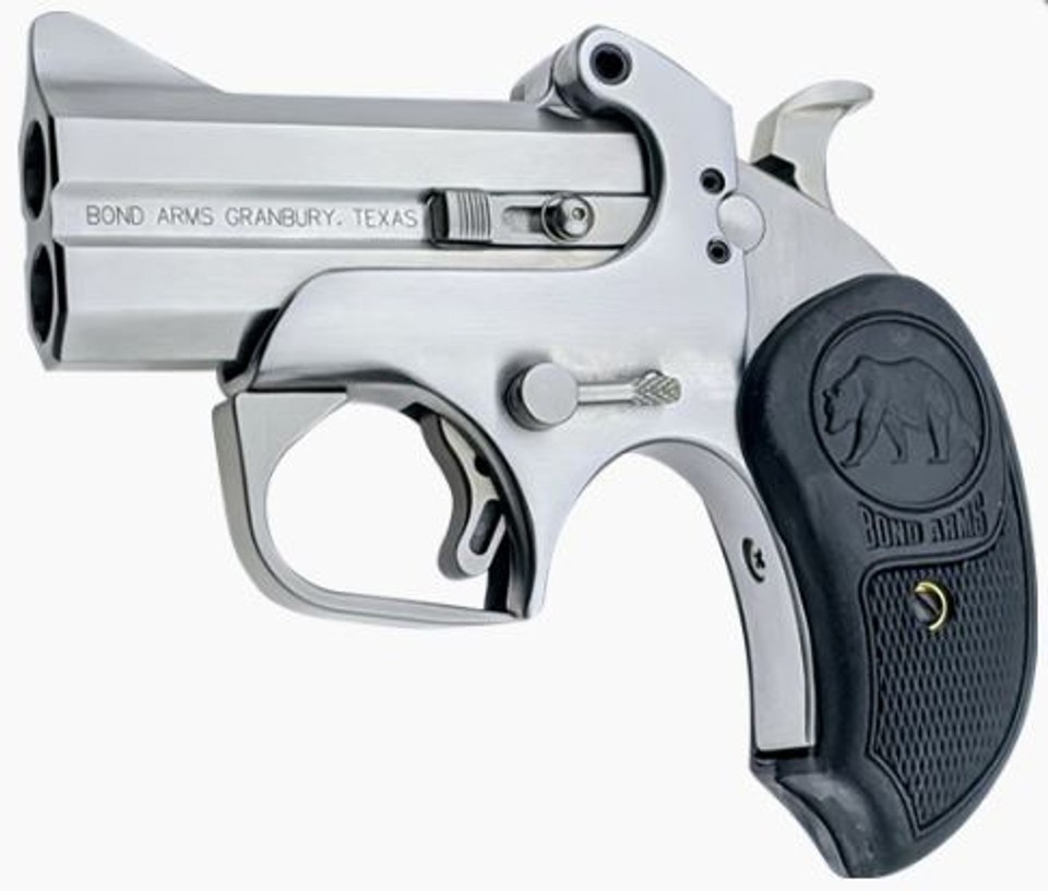 Bond Arms Papa Bear 45/410 Derringer 3" SS