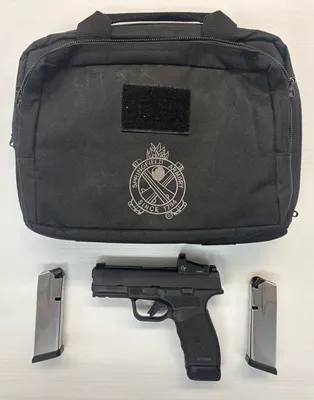 SPRINGFIELD ARMORY Hellcat Pro (Used)