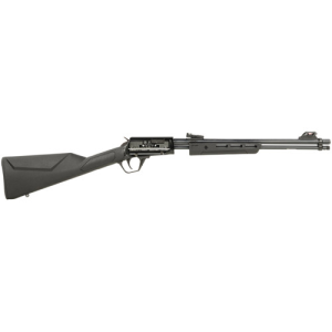 ROSSI Gallery 22 LR 18" 15rd Pump Rifle - Black / Engraved