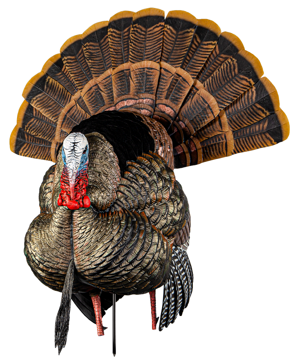 Avian-X HDR Strutter Turkey Decoy