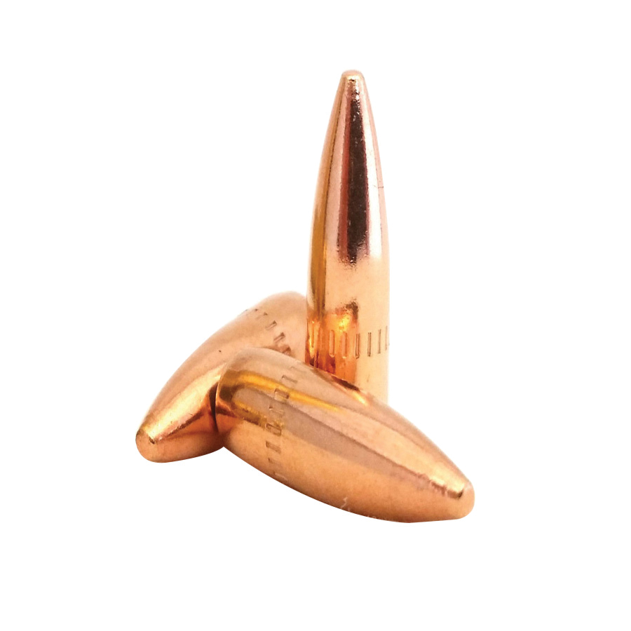 Lightning Ammo .223 Cal FMJBT Rifle Bullet, 55 gr 0.224" 100rds
