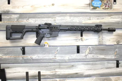 RISE ARMAMENT RA300 (Used)