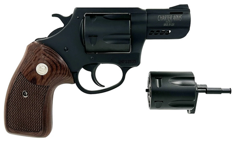 Charter Arms Combo .357 Magnum/9mm Revolver 2.2"