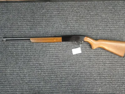 WINCHESTER Model 190 (Used)