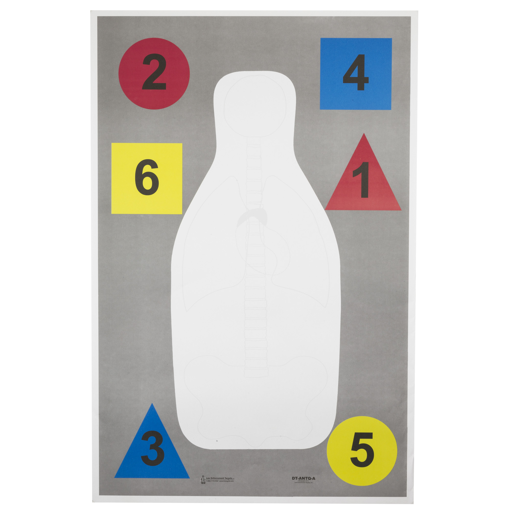 Action Target Anatomy And Command Training Target Target DT-ANTQ-A-100