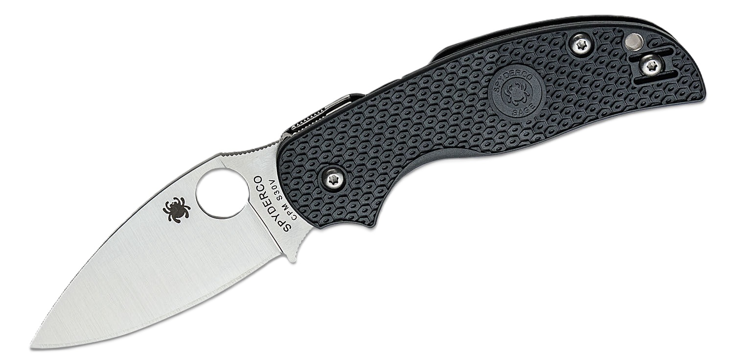 Spyderco Sage 5 Lightweight Folding Spear Point Knife, Black - C123PBK