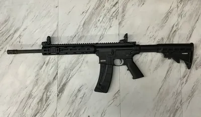 SMITH & WESSON M&P15-22 (Used)