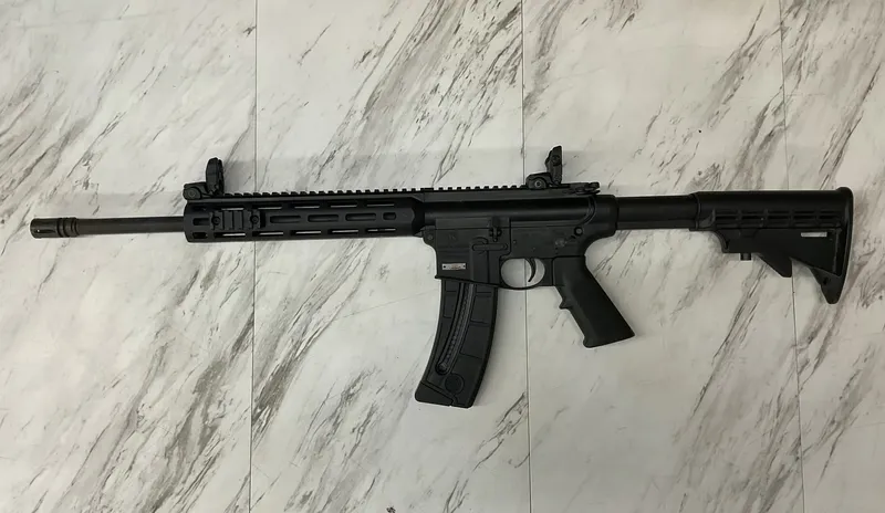SMITH & WESSON M&P15-22 (Used)