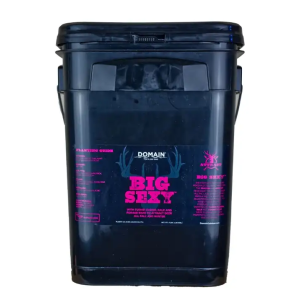 Domain Big Sexy Seed