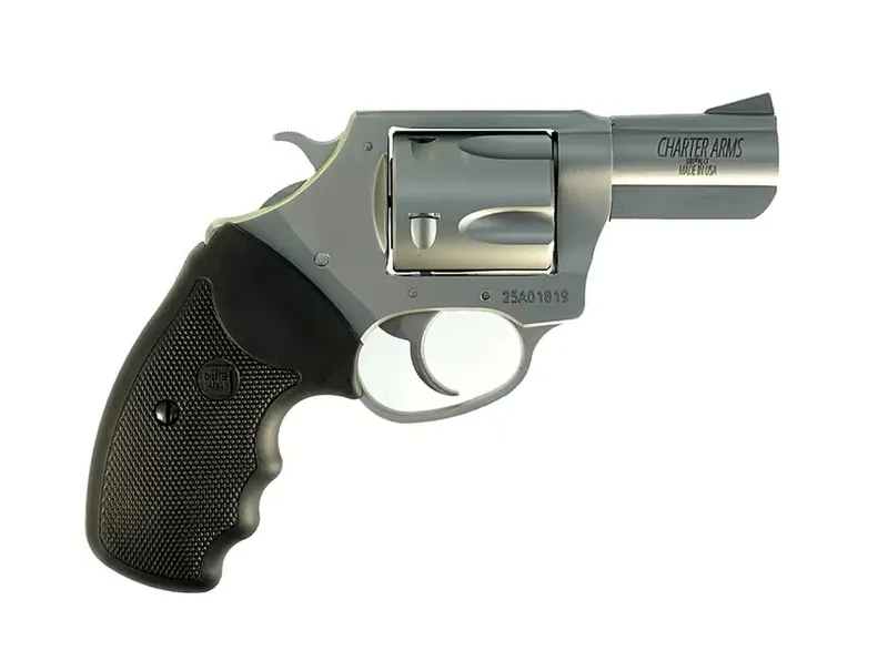 CHARTER ARMS PIT BULL
