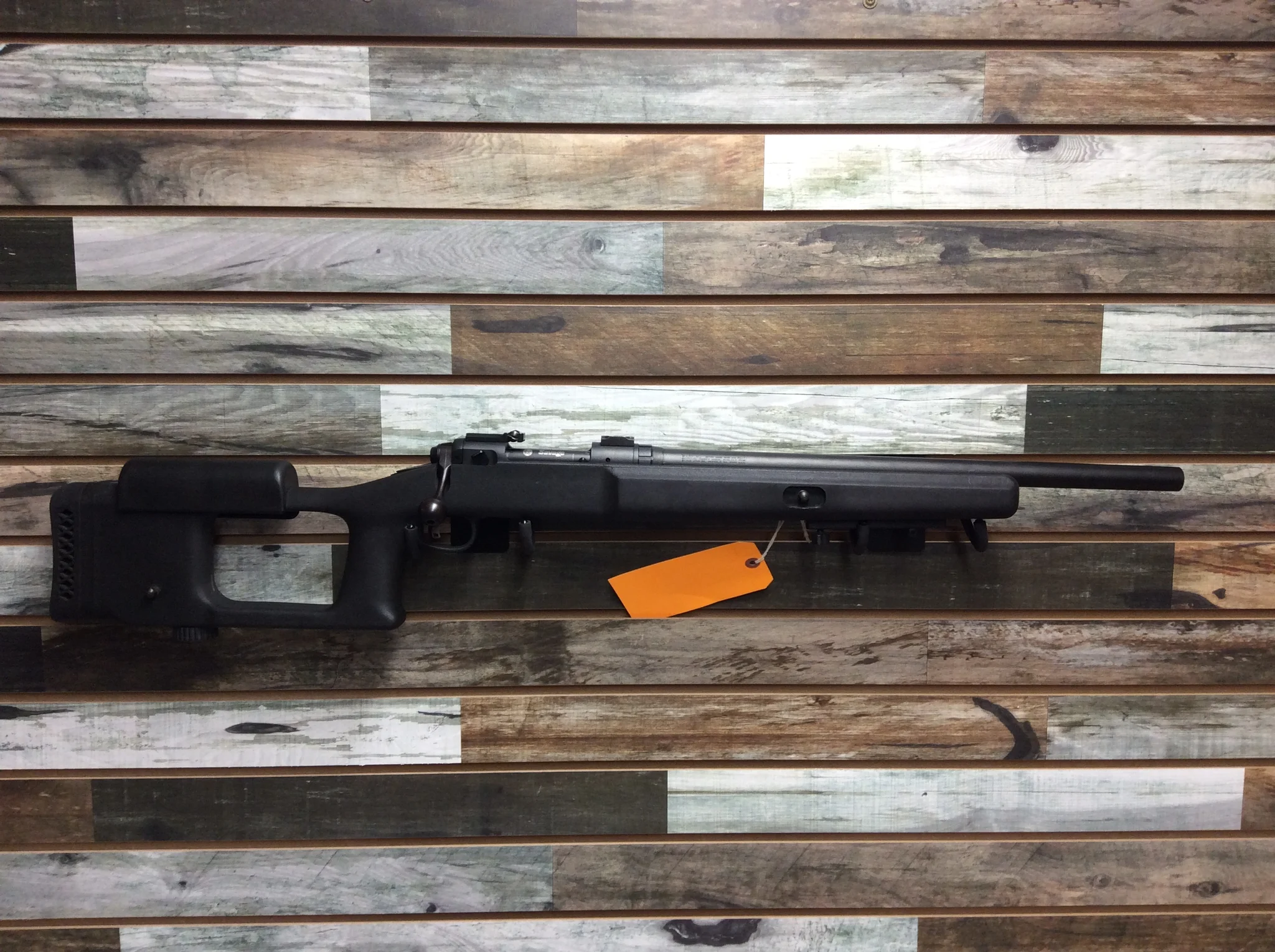 SAVAGE ARMS 10 (Used)