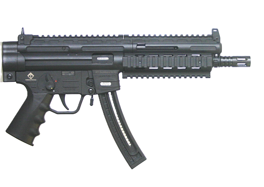 GERMAN SPORT GSG-16 PISTOL – 22LR 9.12″ 22RD BLACK - No Credit Card Fees - Low, flat rate shipping