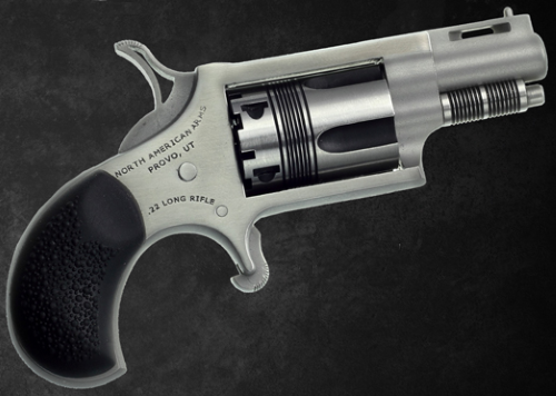 North American Arms The Wasp .22 LR Revolver 1-1/8" SS