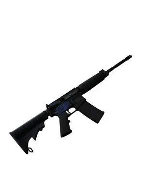 SMITH & WESSON M & P 15 SPORT II (12024) (Used)