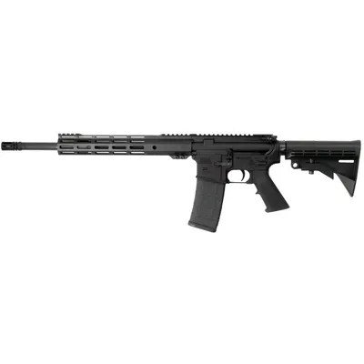PALMETTO STATE ARMORY PA-15 (Used)