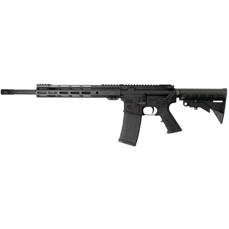 PALMETTO STATE ARMORY PA-15 (Used)