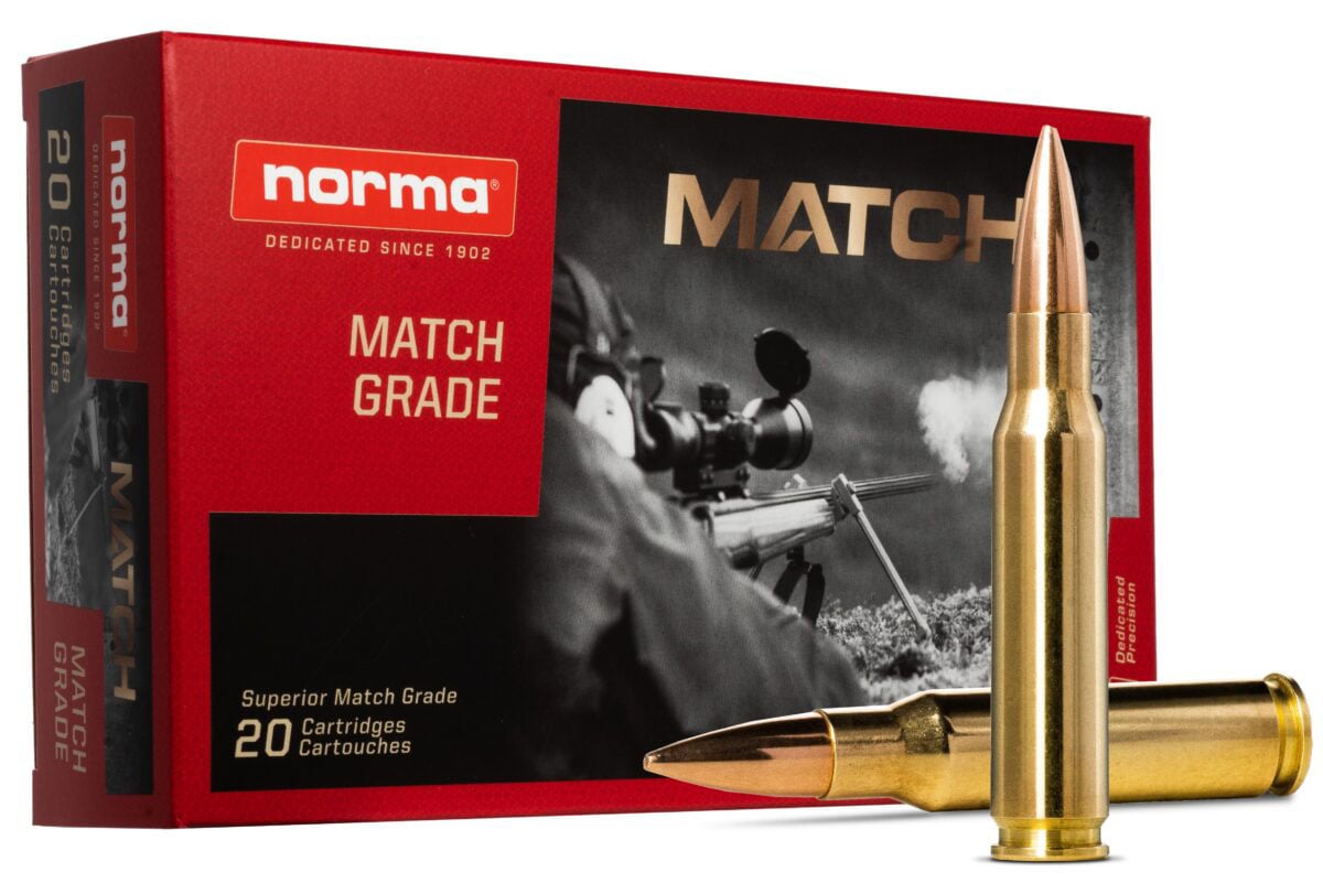 Norma Match 175gr .308 Winchester Ammo, 20rds  - 10177442