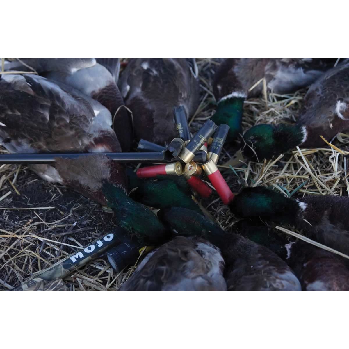 Mojo Outdoors Adjustable Pick Stick Magnetic Shotgun Shell Retriever, Black - HW2411