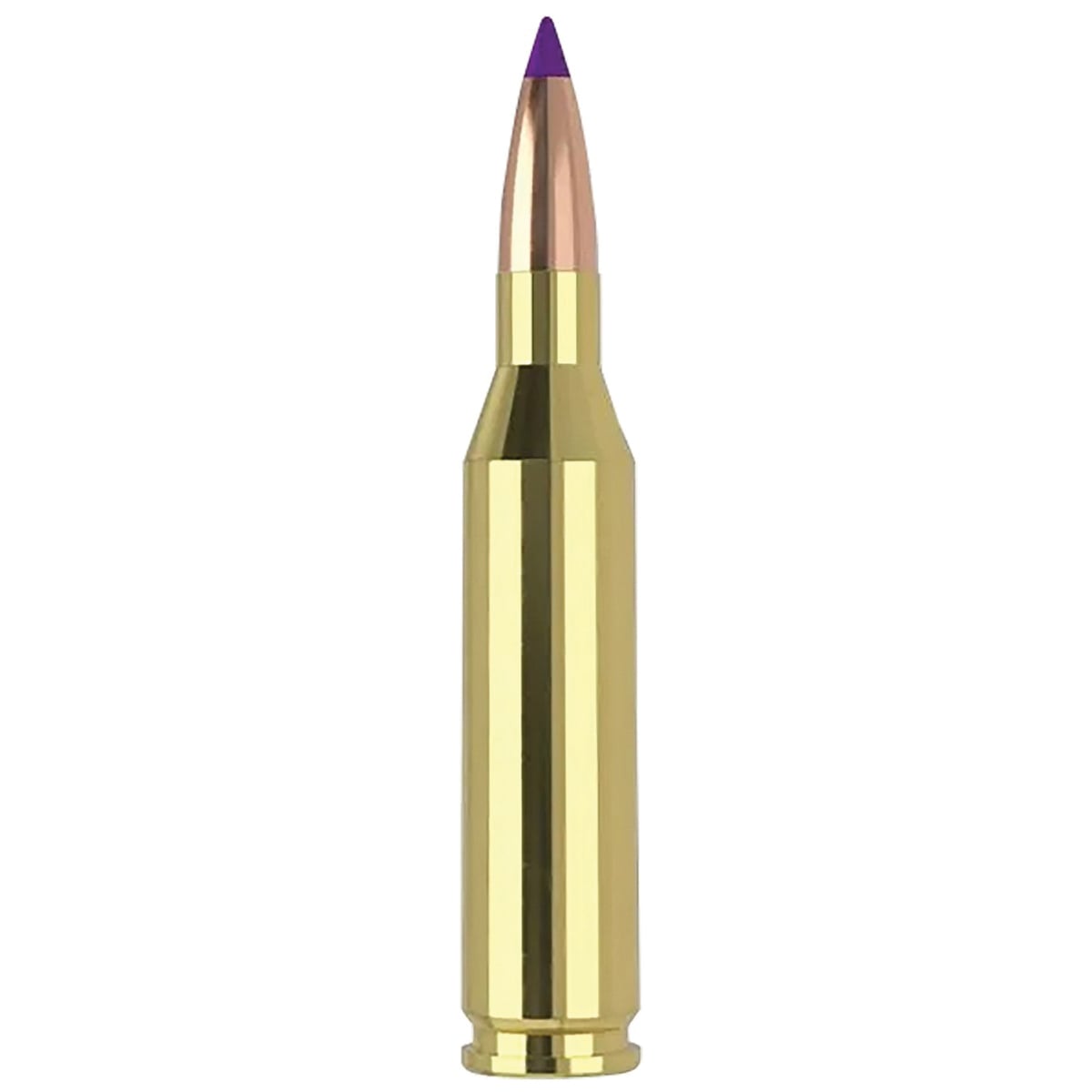 Nosler Ballistic Tip Varmint Rifle Ammunition .243 Win 70gr BT SP 3500 fps 20/ct